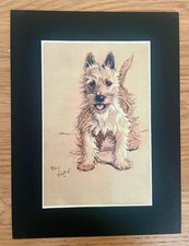 Westie Dog Print by Cecil Aldin from A Dozen Dogs Or So in a 8 x 6 Mount