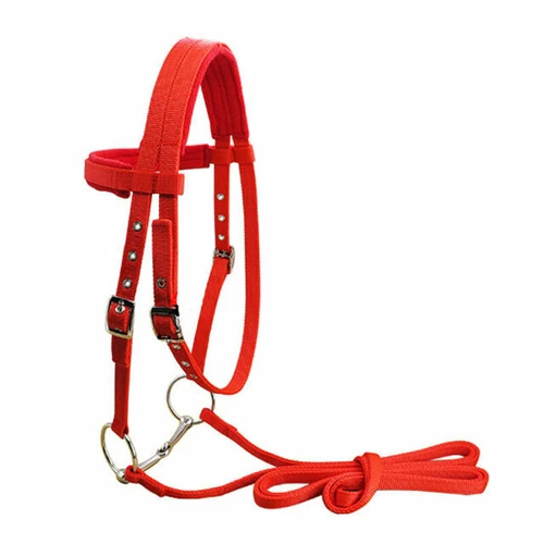 Red Nylon Horse Headcollars & Halters