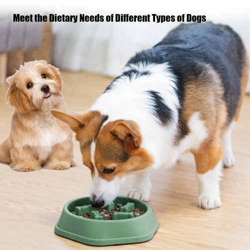 Slow Feeder Dog Bowl Large Pet Anti Bloat Gulp Interactive Puppy Cat Feed Dish - Picture 6 of 13
