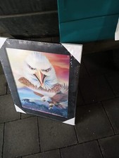 Hochwertiges 3D Effekt Bild auf Holzrahmen - Adler , 36,5 x 46 cm. Neu!!