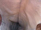 Picture 12 of 12