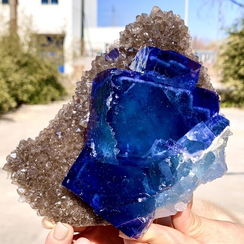 Mineral fluorita cúbica azul transparente natural de Mongolia Interior 2,92 lb - Imagen 5 de 22
