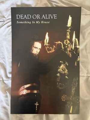 Dead or Alive - Something In My House - 11x17 Poster Print