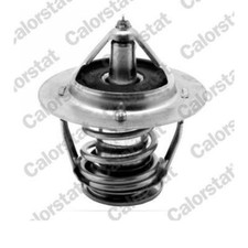 Thermostat Infiniti QX70