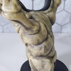 Picture 6 of 17