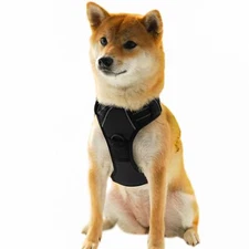 Pet Dog Harness Adjustable Nylon Mesh Vest with Leash Clips Black Large
