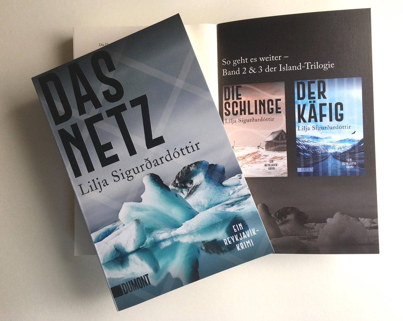 Thumbnail - Das Netz | Lilja Sigurdardottir | Ein Reykjavik-krimi | Taschenbuch |