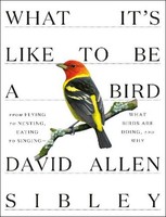 What It's Like To Be A Bird ~ David Allen Sibley ~ 9780307957894