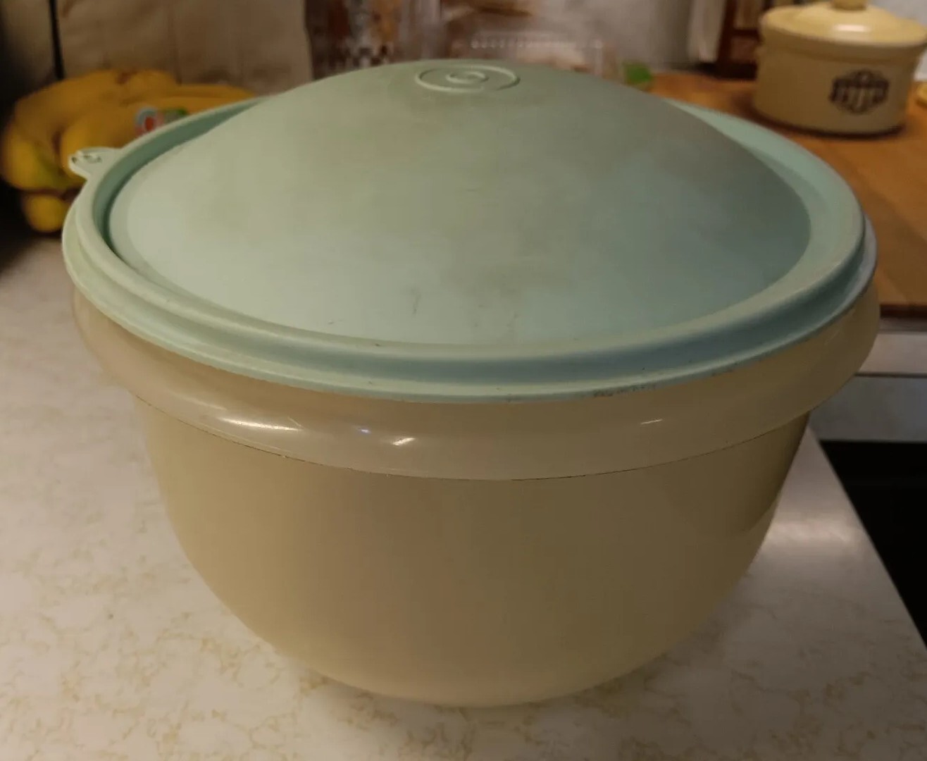 Tupperware Lettuce Keeper Bowl 14242 With Insert and Lid eBay