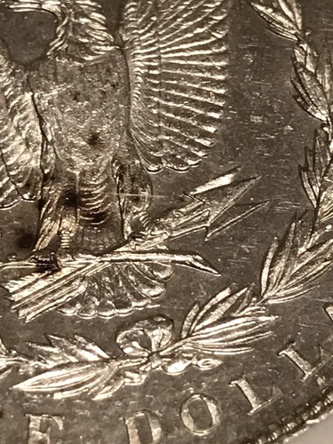 1887 P $1 NGC Graded MS 65 PL (VAM-6A) Spiked Tail Feather 1647300-006 Morgan - Picture 17 of 19