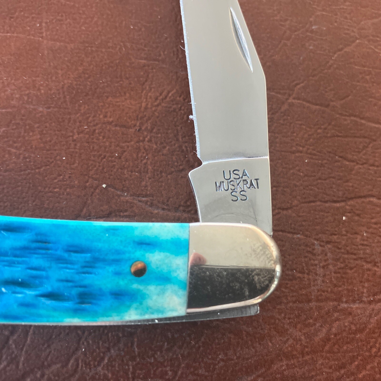 Case XX Pocket Worn Caribbean Blue Bone Muskrat Folding Knife eBay