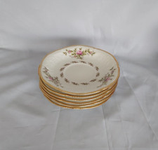 Moosrose elfenbeinfarben Poliergoldrand v. Rosenthal , 6 Untertassen Ø 17,5 (R5)
