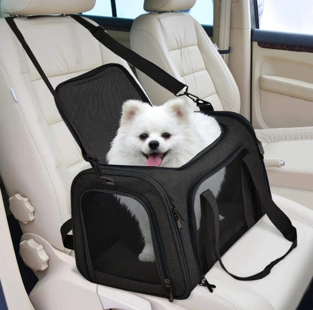 Carrier for 2024 medium sized dog