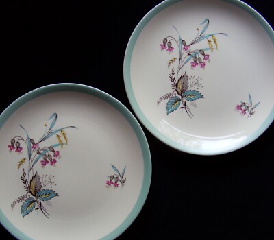 Zwei Johnson Bros 25 cm Teller: Red Campion & Wheat mit blassem Aqua Rand