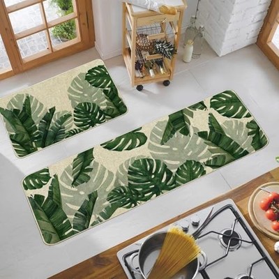philodendron hederaceum gabby Philodendron Cream Splash - Grown From Mother Plant A