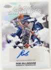 2025 Topps Chrome Rob Dillingham Sky Write Signatures (RAW)