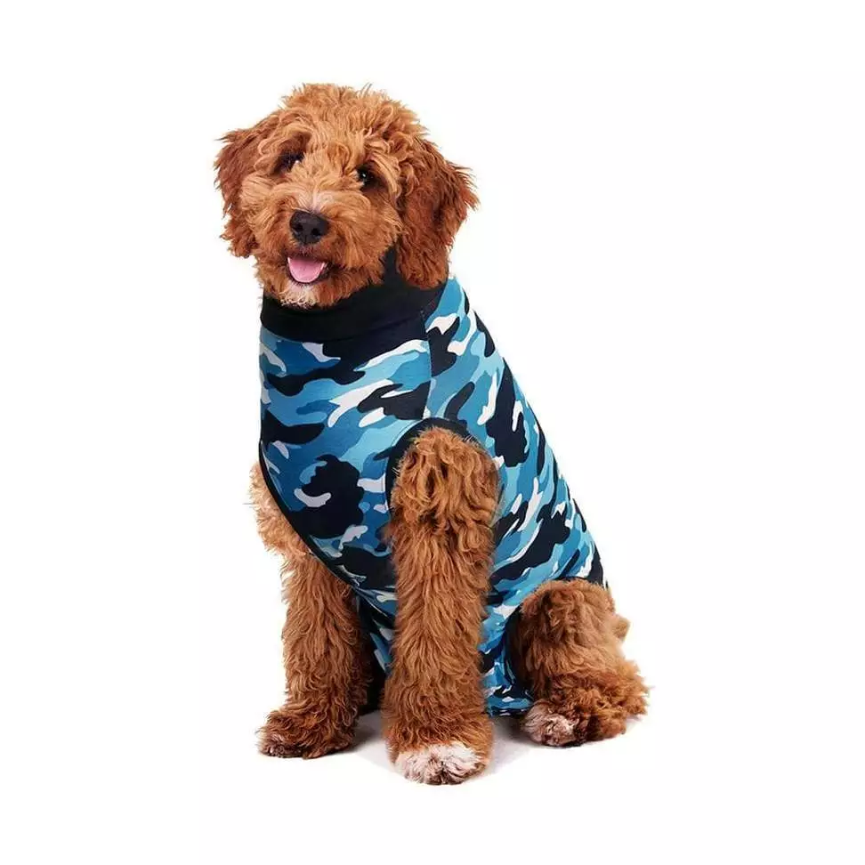 Free next top day delivery clothes