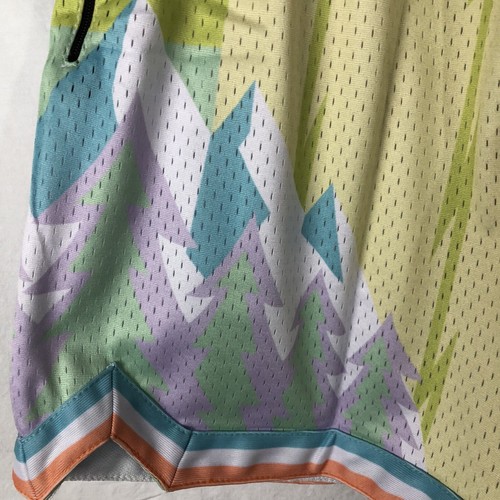 Pantaloncini da basket Trillest x Who Cares "What The NBA" pastello swingman taglia L NUOVI - Foto 6 di 12