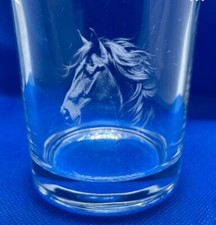 HORSE HEAD ENGRAVED WHISKEY TUMBLER GLASS GIFT PRESENT HORSE PONY EQUESTRIAN