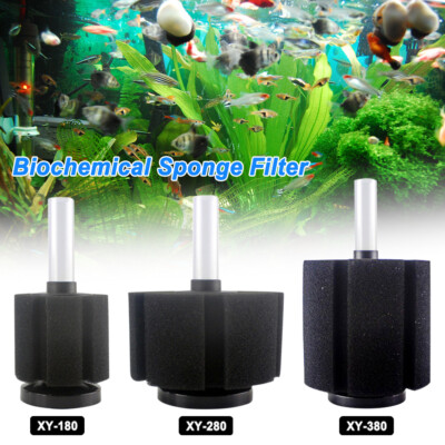 Best Sponge Filters for Fry Tanks: Ultimate Guide for Healthy Fry