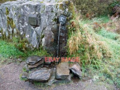 FOTO MOSESBRUNNEN EIN STETIGER STROM VON QUELLWASSERAUSGABEN VOM KOPF EINES LIO