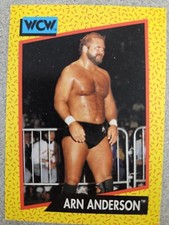 1991 Impel WCW - #48 Arn Anderson