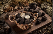 Delicious Fresh Black Truffles 250 gr / 8.8 oz
