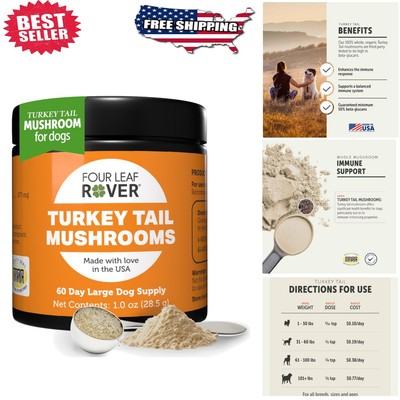 Best Turkey Tail Supplement for Dogs: Top Picks for Vitality