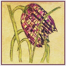 Mackintosh Art Nouveau Fritillaria Flower detail Counted Cross Stitch Pattern