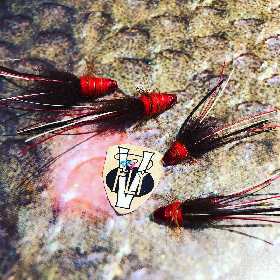 2 V Fly Stor Lax Legs 11 Tungsten CH Red Francis Salmon Tube Flies with