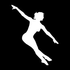 Ballet Girl Dancing Dance Routine Decal Sticker White Die Cut Vinyl