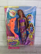 skipper dolphin magic