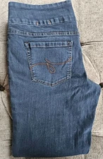 JAG Jeans, Size 14 Short, Medium Wash *Excellent Condition*