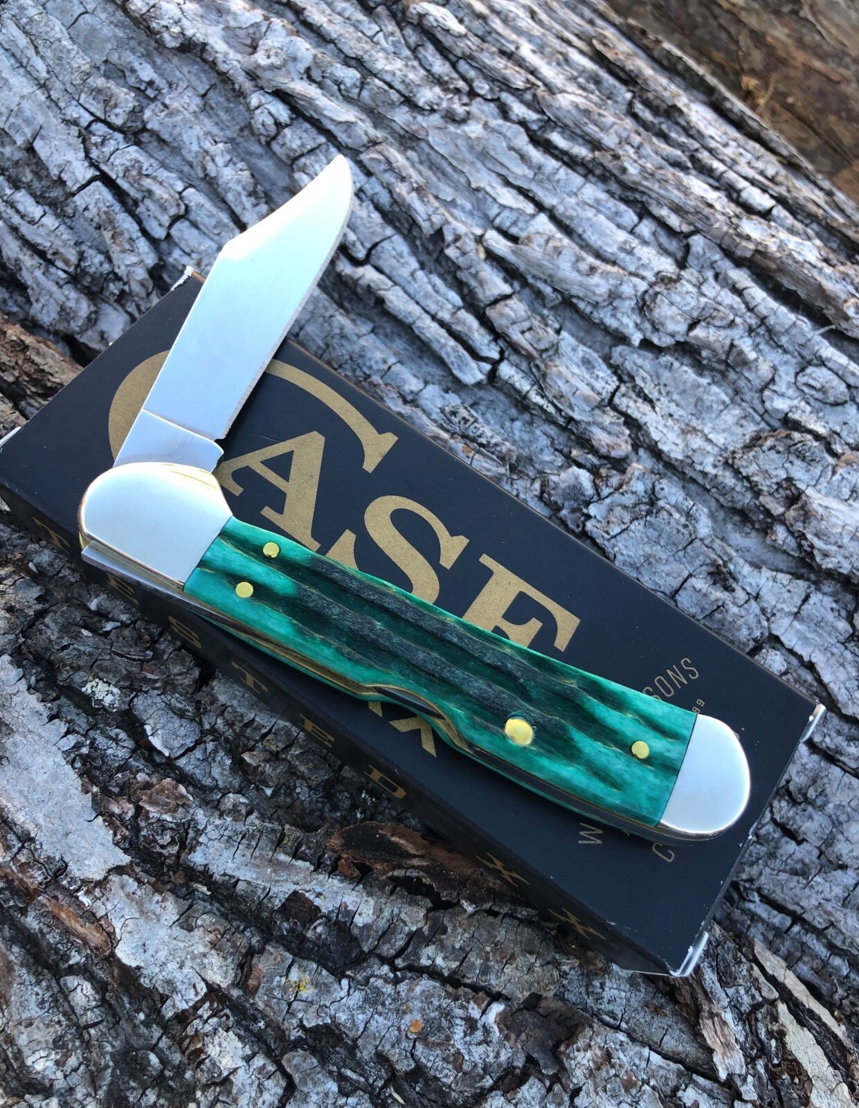 CASE XX *b 2022 JADE KINFOLK JIG MINI COPPERLOCK KNIFE KNIVES NEW ITEM