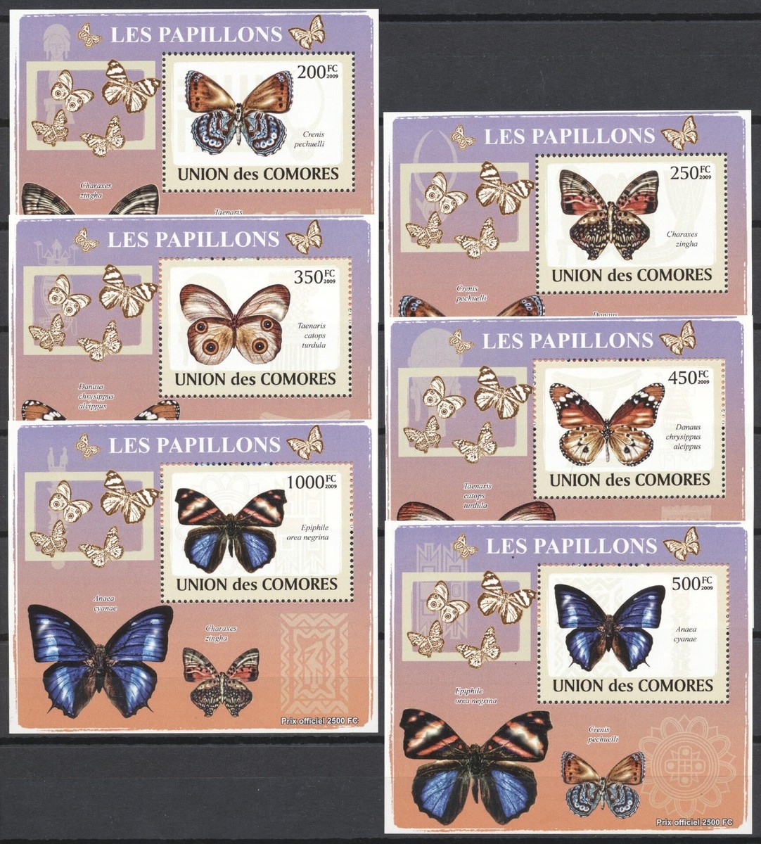 BONHEUR Papier　0329 Midsummer Photo | Birthday Card | Papier