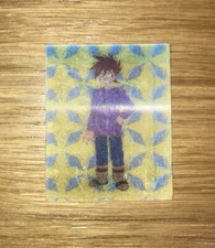 Sorpresine Yoga, Pokémon | Gary, Card Lenticolare #86