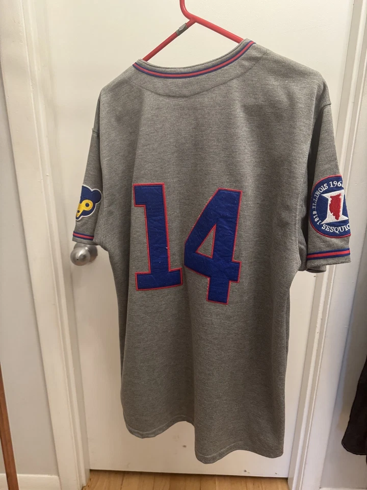 Camiseta deportiva auténtica Mitchell & Ness Gray Road MLB 1968 de los Chicago Cubs Ernie Banks #14 Foto 2 de 4