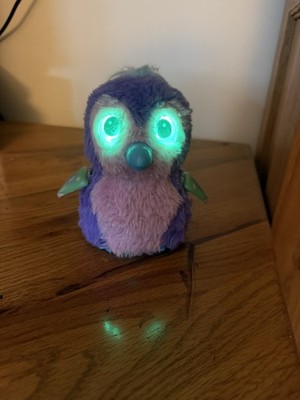 Hatchimal elektronisches Spielzeug (Glitzernder Garten) 5+