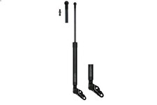 Gasfeder, Koffer-/Laderaum LESJOFORS 8192564 CELICA Coupe (_T23_) 1.8 1999-2005