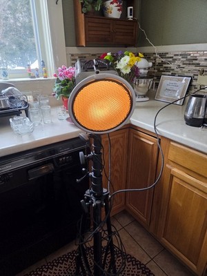 Alien Bee B400 X2 With Tripods 