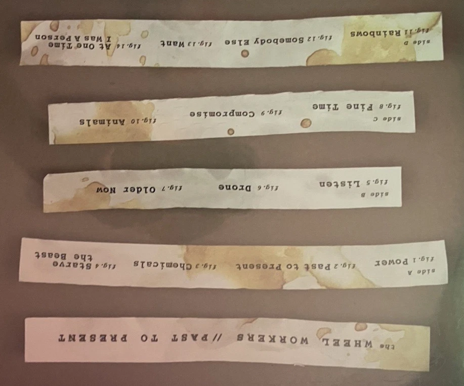 SEALED** 2-12" LP~ THE WHEEL WORKERS~ 2014~ PAST TO PRESENT~ COLORED VINYL - Image 3 of 4