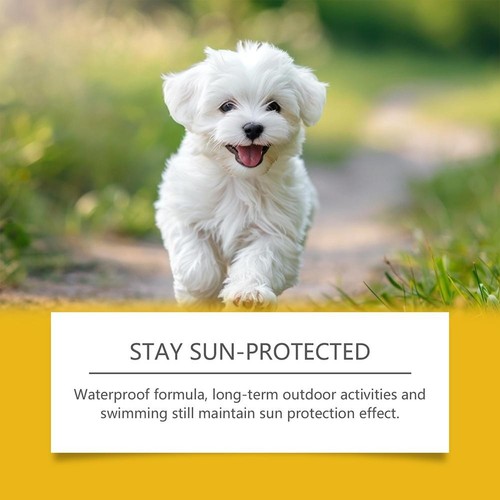 Agente Protezione Solare per Animali Domestici Cane Crema Solare Cura Impermeabile e Lieve Vitamina E UK - Foto 10 di 19