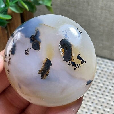 Raw Aquatic Plants stone  - Viewing - Tumbling Stone Healing  64g  AP9