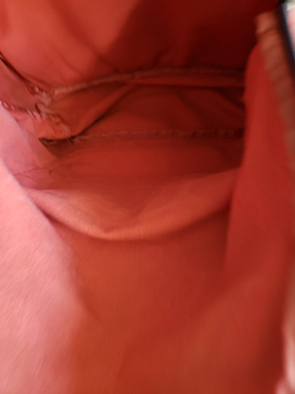 Converse Canvas Backpack - Fully Cleaned! - image 11