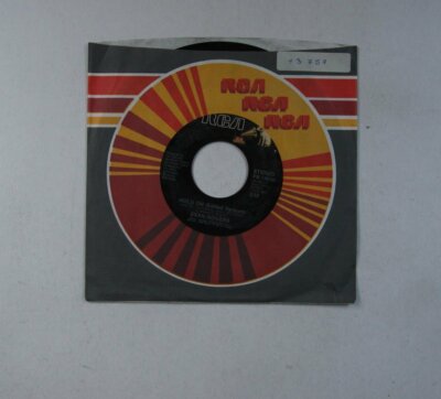 Evan Rogers Hold On / I'll Break The Rules For You US 7in 1985