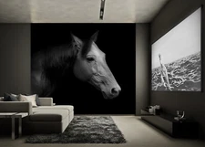 3D Horse Pictures O020 Wallpaper Wall Murals Removable Wallpaper Sticker Eve