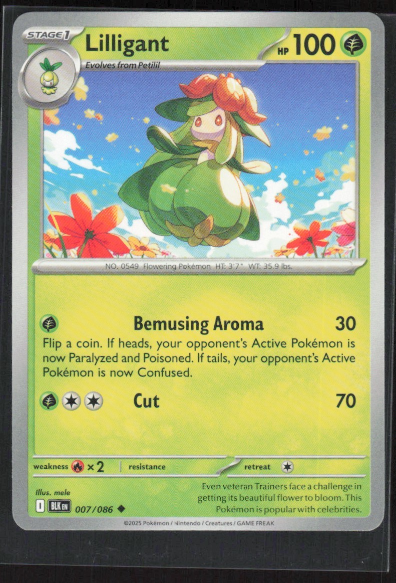 2025 Scarlet & Violet Series - Black Bolt Lilligant Reverse Holo #7