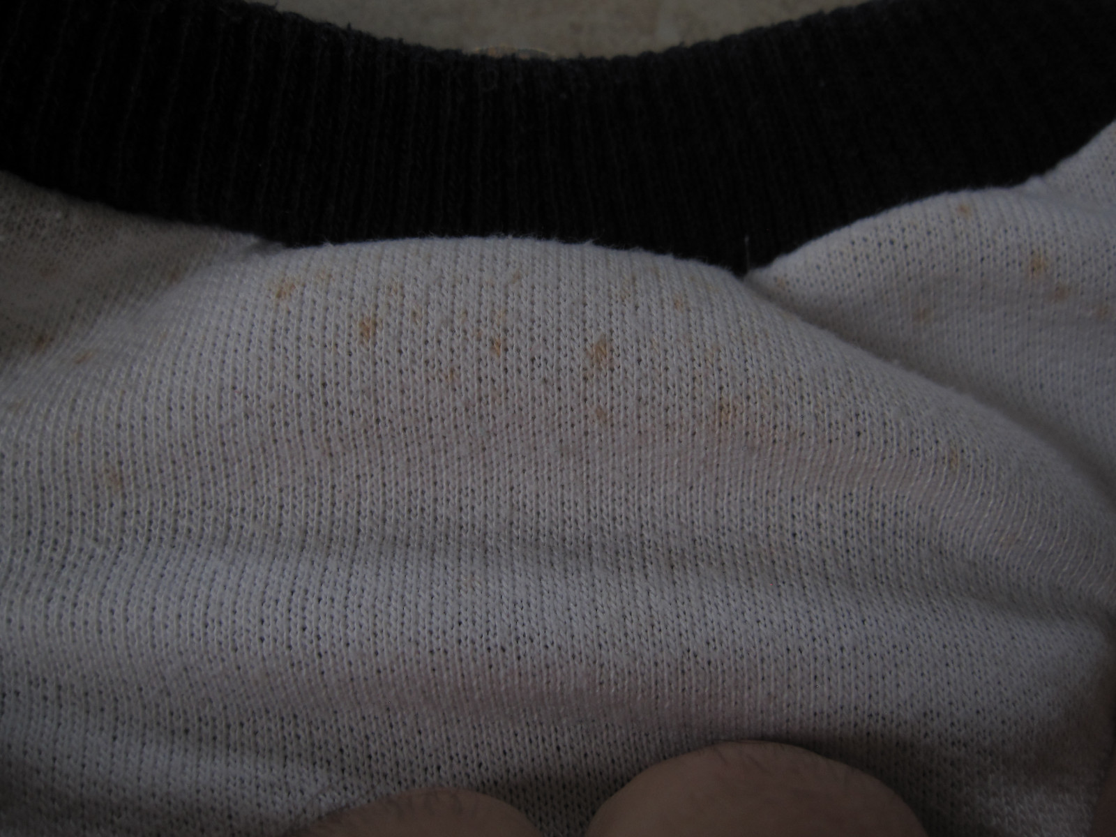 Picture 3 of 7