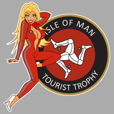 TT right pin up right vinyl sticker laminated