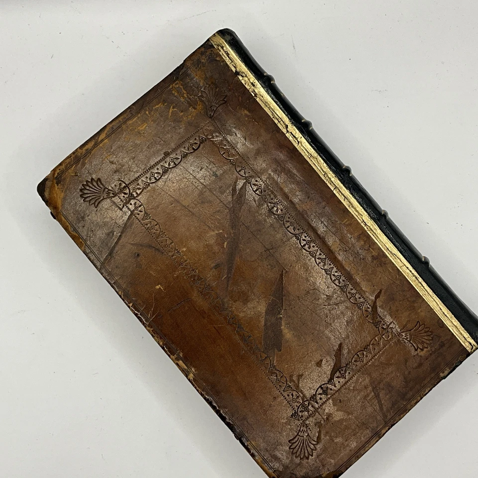 PUBLII OVIDII NASONIS LIBRI XV. METAMORPHOSEON OF OVID 1713 - Image 3 of 4